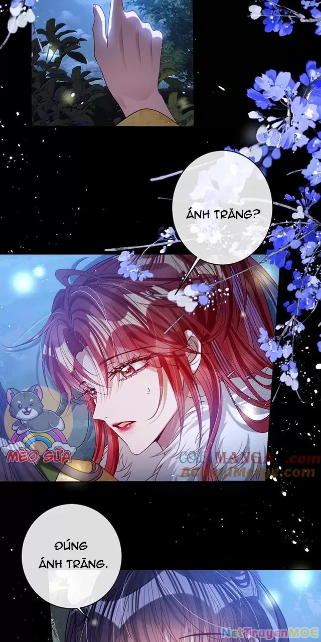 Nuông Chiều Mỹ Nhân Cuồng Nhiệt Chapter 45 - Next Chapter 46