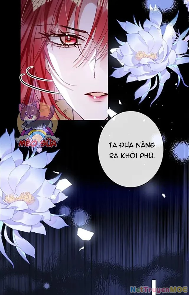 Nuông Chiều Mỹ Nhân Cuồng Nhiệt Chapter 53 - Next Chapter 54