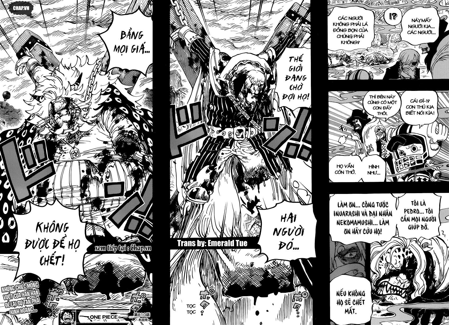 One Piece Chapter 810 - Next Chapter 811