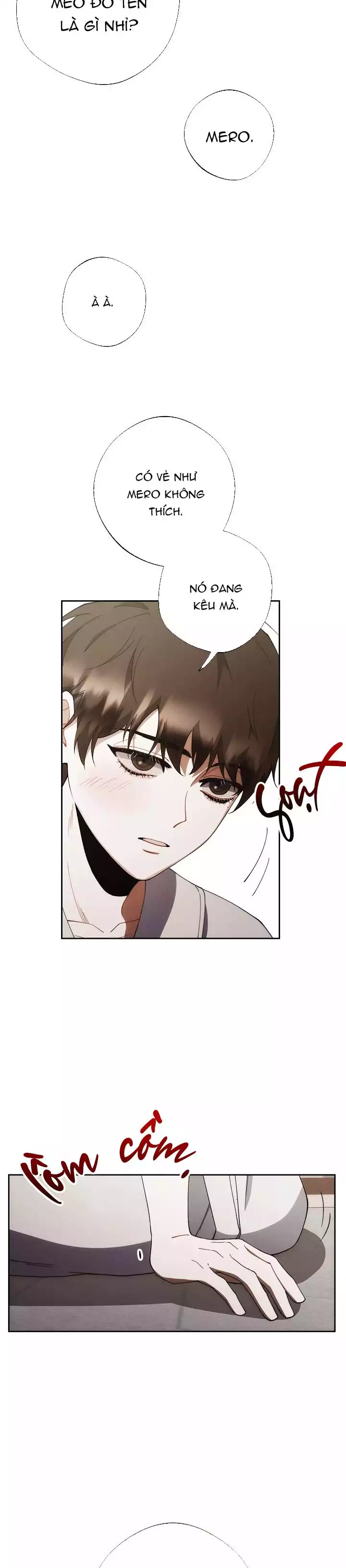 RED MANSION Chapter 41 - Trang 3