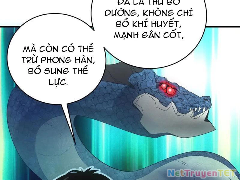 Ta Bán Hàng Vỉa Hè Ở Mạt Thế Chapter 32 - Trang 4