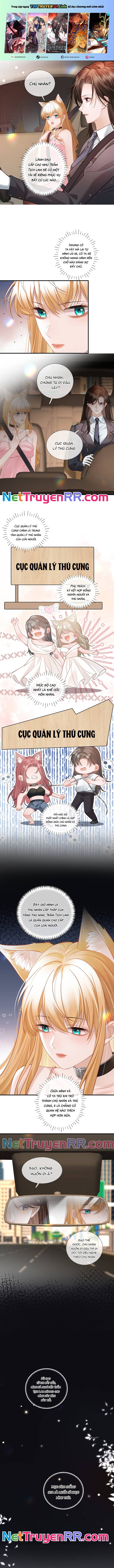 Trưởng Quan, Đuôi Của Cô Bị Lộ Rồi Kìa Chapter 10 - Trang 2