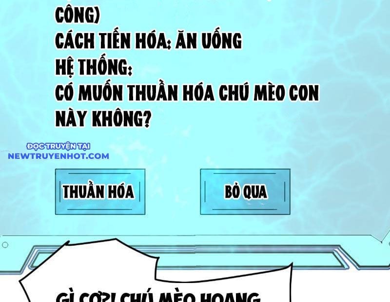 Vạn Tộc Xâm Lược: Bắt Đầu Thuần Hóa Cự Thú Cấp Sử Thi Chapter 8 - Trang 2