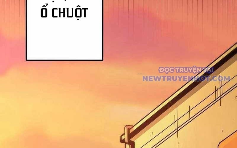 Vượt Cấp Với Kỹ Năng Thần Thánh Chapter 1 - Trang 2