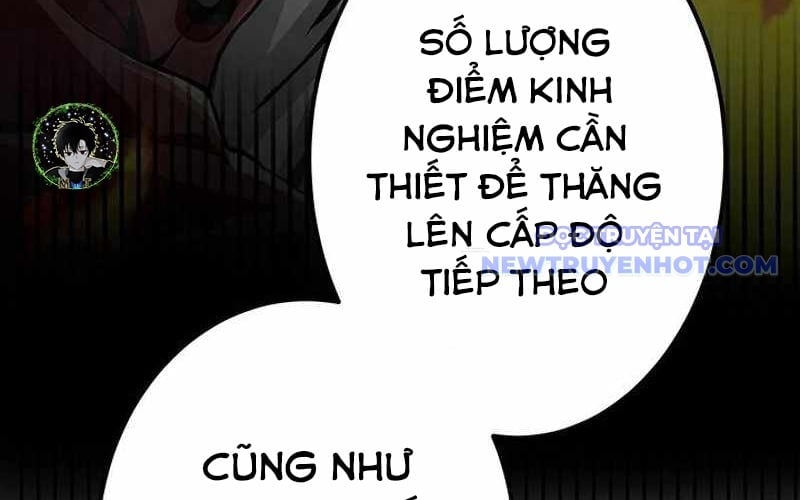 Vượt Cấp Với Kỹ Năng Thần Thánh Chapter 4 - Trang 3