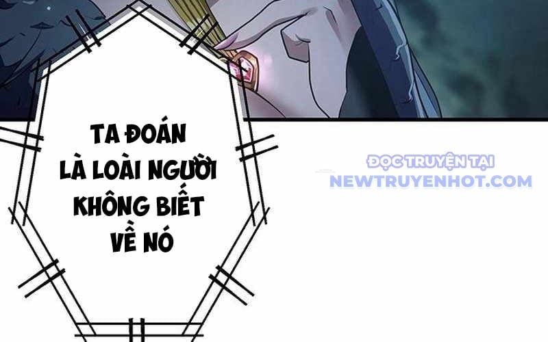 Vượt Cấp Với Kỹ Năng Thần Thánh Chapter 6 - Trang 3