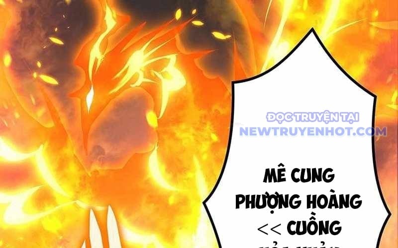 Vượt Cấp Với Kỹ Năng Thần Thánh Chapter 6 - Trang 3