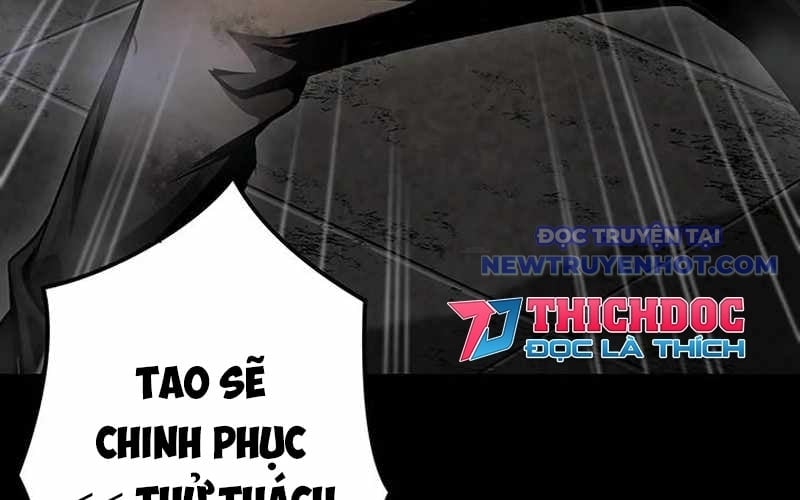 Vượt Cấp Với Kỹ Năng Thần Thánh Chapter 8 - Trang 3