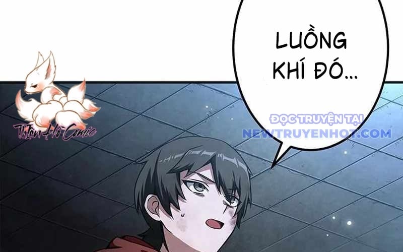 Vượt Cấp Với Kỹ Năng Thần Thánh Chapter 8 - Trang 3